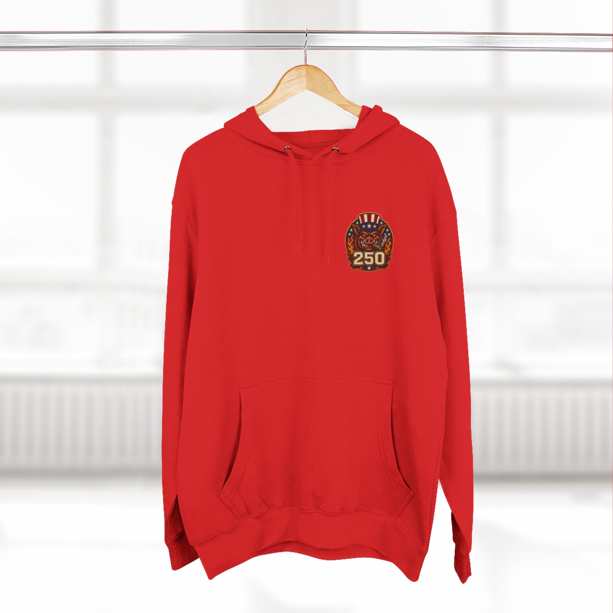 250 Years of Freedom Hoodie